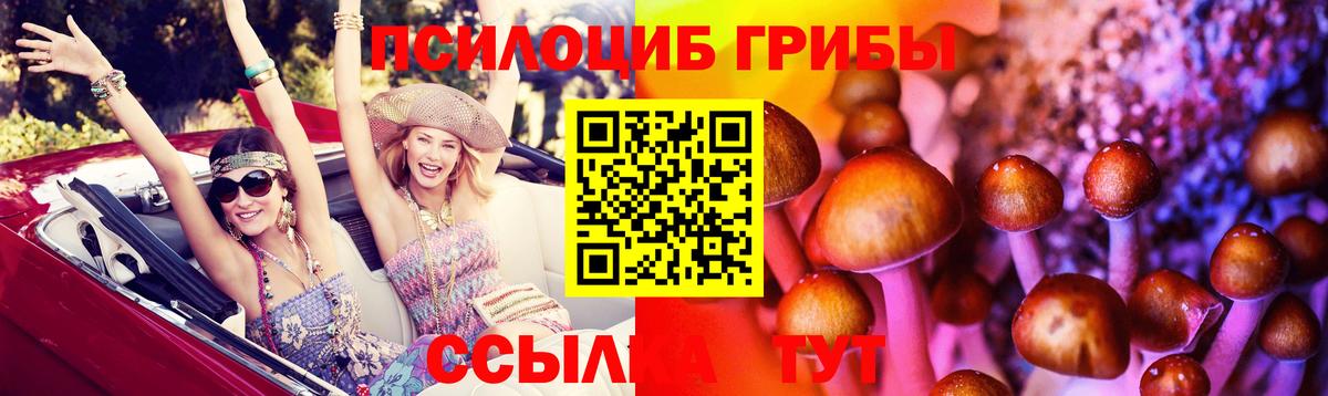 Галлюциногенные грибы Cubensis  Вход с VPN  Галлюциногенные грибы мицелий  Шелехов 